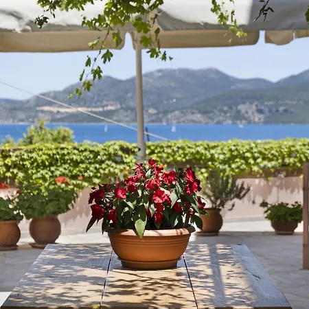 Daire Tasoula With Garden View Nikiana