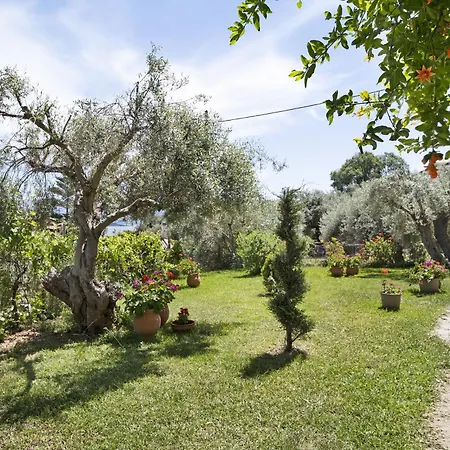 Tasoula With Garden View Apartment Nikiana