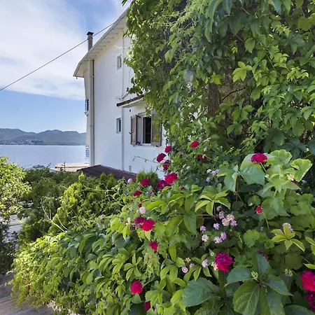 Daire Tasoula With Garden View