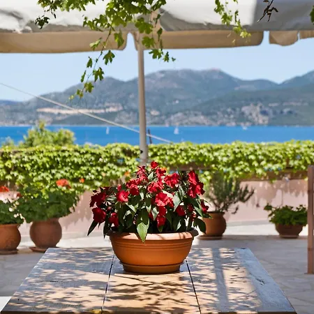 Tasoula With Garden View Apartment