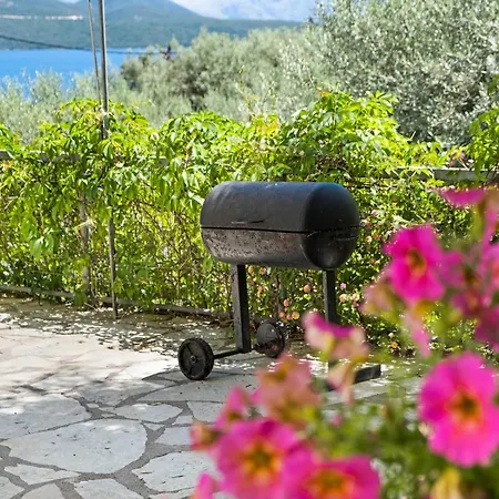 Tasoula With Garden View Appartement