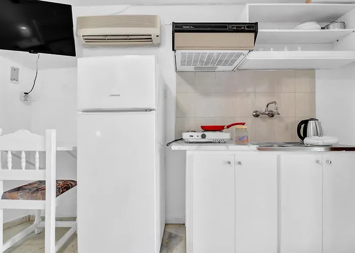 公寓 Tasoula With Garden View *