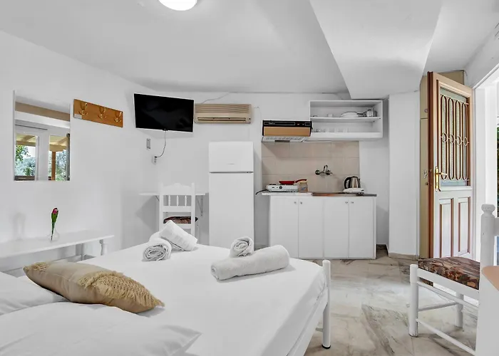 公寓 Tasoula With Garden View