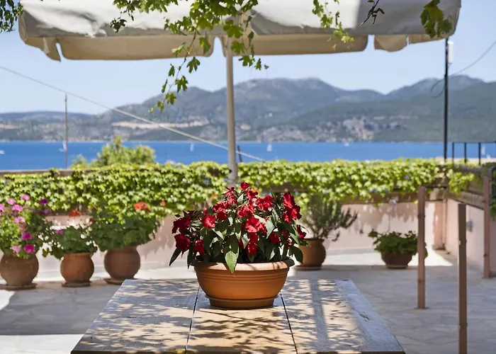 公寓 Tasoula With Garden View 尼基亚娜