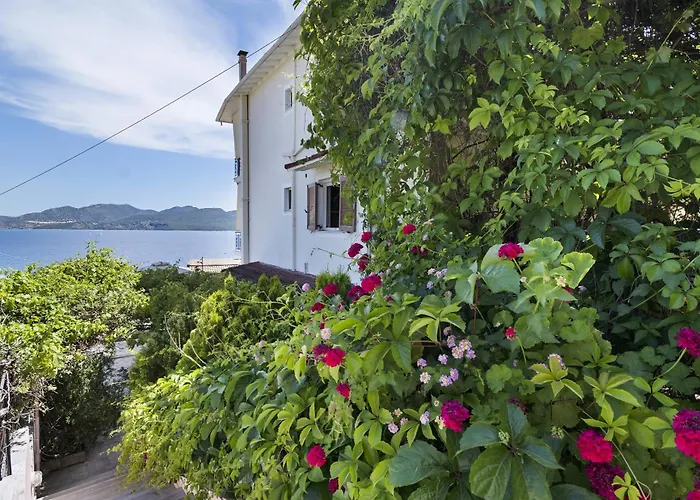 公寓 Tasoula With Garden View